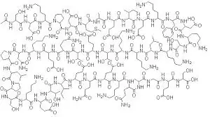 TB-500 (Thymosin B4) 2mg - Image 3